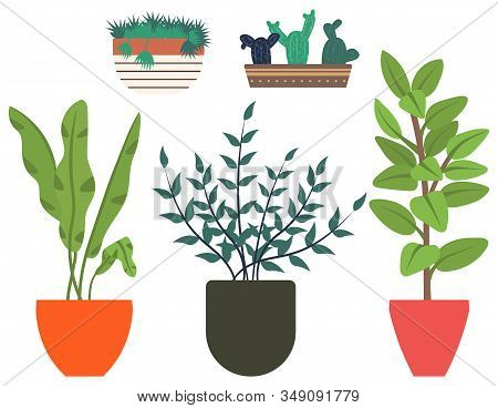 Flowers In Vases, Floral Decor For Home Flat Style Flourishing On Branches, Plant With Frondage, Ten