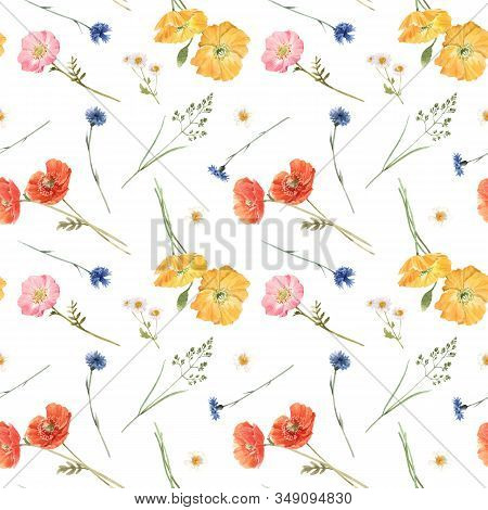 Beautiful Vector Floral Summer Seamless Pattern With Watercolor Hand Drawn Field Wild Flowers. Stock