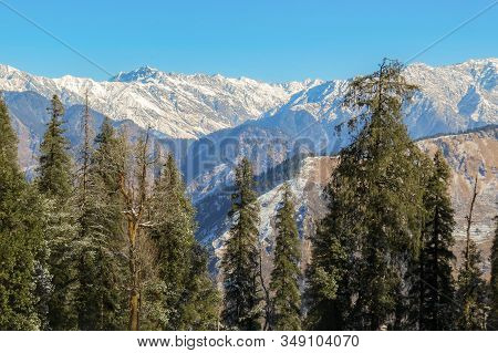 Picture Of Tall Pine Trees Against Himalayan Mountain Range With Clear Sky Above