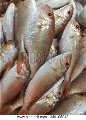 Sea Fish In The Market