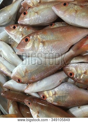 Sea Fish In The Market