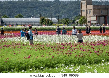 Daxi, Taiwan - November 15th, 2019: tourists walk at the garden in Daxi event of Taoyuan Flower Festival in Taoyuan, Taiwan, Asia
