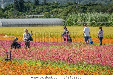 Daxi, Taiwan - November 15th, 2019: tourists walk at the garden in Daxi event of Taoyuan Flower Festival in Taoyuan, Taiwan, Asia