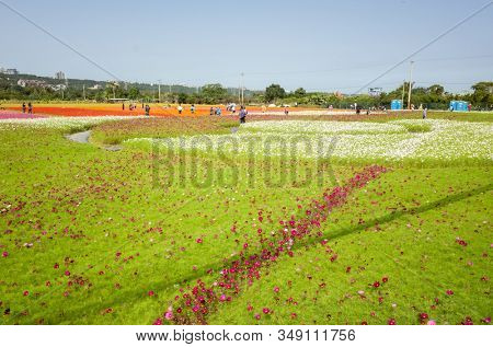 Daxi, Taiwan - November 15th, 2019: tourists walk at the garden in Daxi event of Taoyuan Flower Festival in Taoyuan, Taiwan, Asia