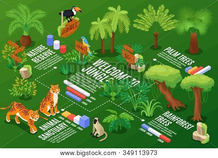 Isometric Jungle Horizontal Composition With Flowchart Graphs And Text Captions With Exotic Plants A