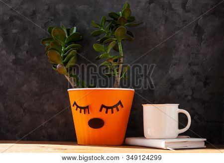 Succulent Plant In Orange Pot. Creative Reindeer With Green Horns In Minimal Style. Minimalistic Hom