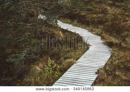 Wooden Walkpath With Green Grass In Forest. Empty Wooden Road In Perspective. Rural Old Pathway. Pla