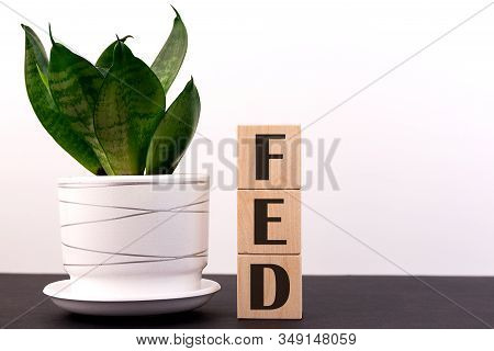 Fed, Federal Reserve Concept, Cube Wooden Block With Alphabet Building The Word Fed At The Center On