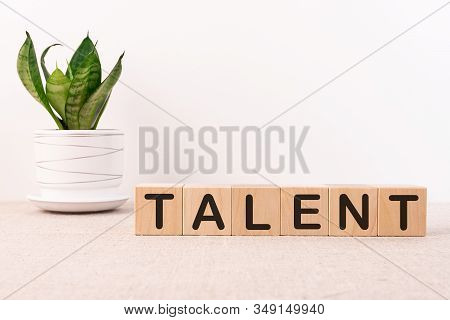 Wooden Blocks With The Text Talent On A Light Background