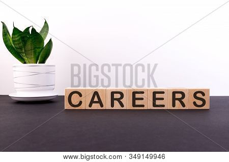 Careers Concept Words On Blocks On A Black Table With A Flower And A Light Background