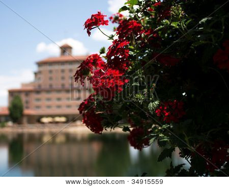 Broadmoor Hotel fiori