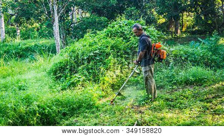 A Middle Aged Man Cutting The The Thick Bushes Using The Brush Cutter Machine Under The Scorching Su