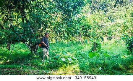 A Middle Aged Man Cutting The The Thick Bushes Using The Brush Cutter Machine Under The Scorching Su