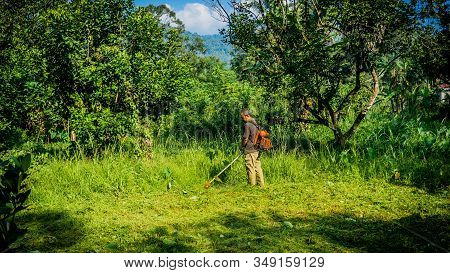 A Middle Aged Man Cutting The The Thick Bushes Using The Brush Cutter Machine Under The Scorching Su