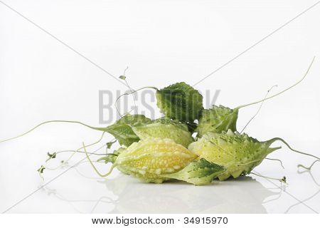 bitter melon