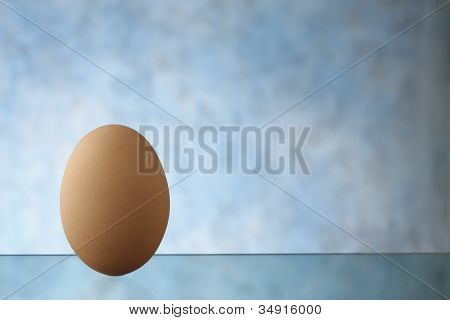 egg