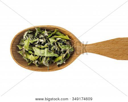 Dry Tussilago Farfara Or Mother And Stepmother In Wooden Spoon On White Background