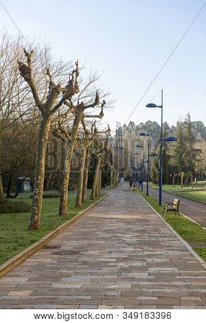 Pathways In The Park To Exercise, Walking And Relax
