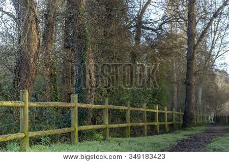 Wooden Railing Beside A Path In The Park