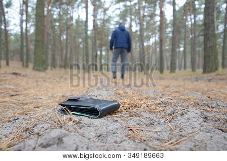 Young Man Loses His Purse With Euro Money Bills On Russian Autumn Fir Wood Path. Carelessness And Lo