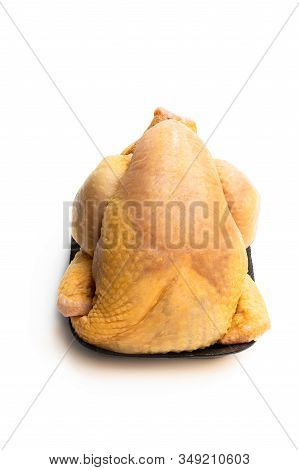 Raw Whole  Corn Fed Poussin Isolated On White