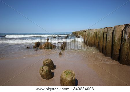 Old Wooden Breakwater Built Of Thick Logs Driven Into Deep In The Bottom Of The Sea, Zelenogradsk, R
