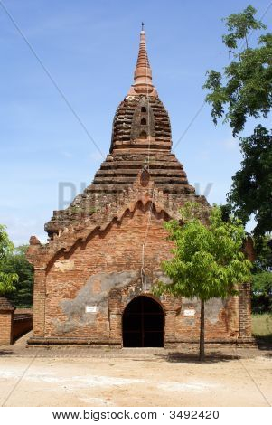 Tuğla Pagoda ve eski Bagan ağacında