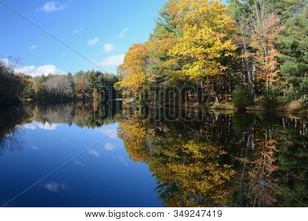 Panoramic Vista Of Autumn Foliage Reflections On The Scenic Chippewa River At Brunet Island State Pa