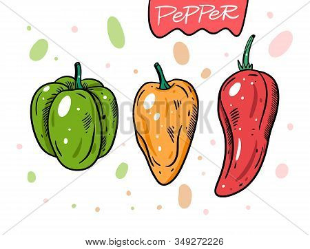 Different Peppers. Green, Yellow And Red Whole Peppers. Hand Drawn Vector Illustration In Cartoon St