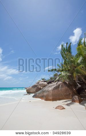 Praslin, Anse Lazio