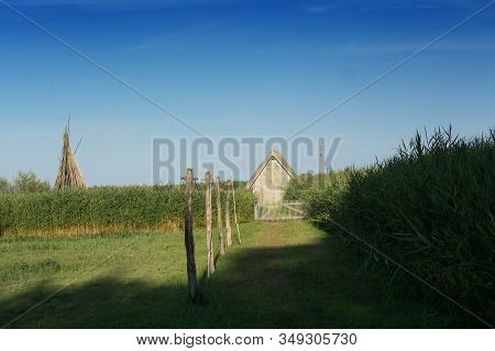 Boathouse At The Harbor Of Prerow, Fischland Darss