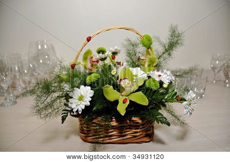 Orkidé og hvide margueritter blomster