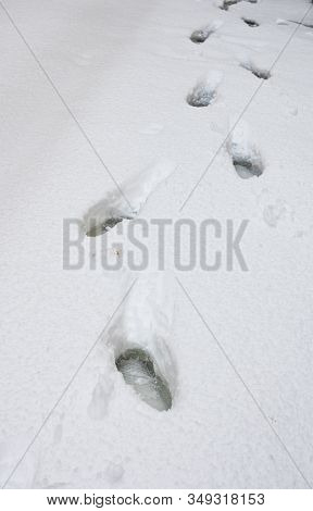 Foot Traks In The Snow, Street Covered With Snow.