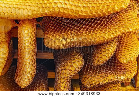 Bee Wax - Bee Frames Of A Bee Hive