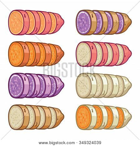 Vector Sweet Potatoes Slices Set Isolated On White Background. Raw Batatas Whole Potato And Slices. 