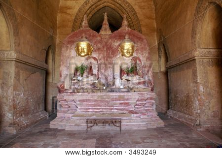 Buddhaer