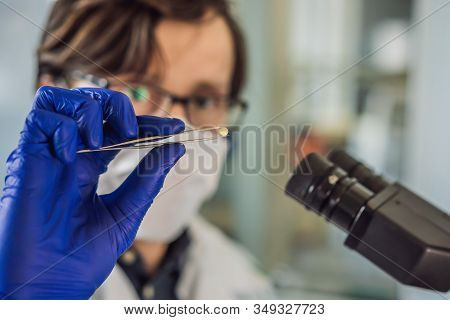 A Doctor Or Scientist In A Laboratory Holds Medicine For Children Or The Elderly Or Cures Animal Dis