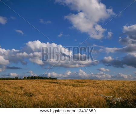 Farmlandscape