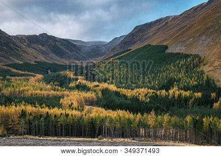 Autumn Colors In Picturesque Corrie Fee, Glen Doll, Scottish Highlands In Late October.