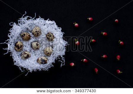 White Paper Nests With Quail Easter Eggs, Red Berries Of Hypericum On A Black Background. Symbol Of