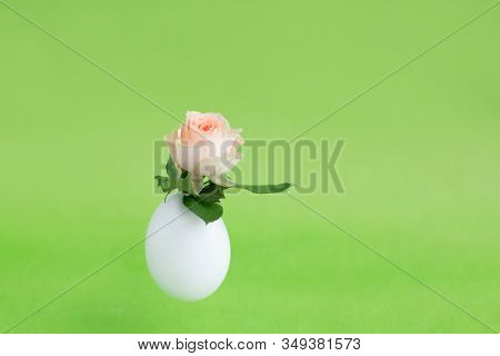 Bushy Beige, Yellow, Orange Rose In Easter White Eggshell Flying In The Air On Light Green Backgroun