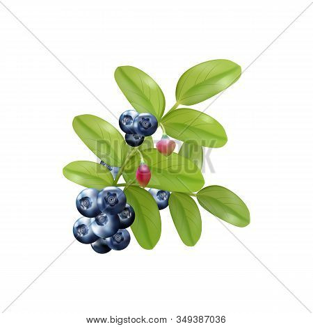 Set Of Realistic Ripe Berryes On A White Background.the Berryes For Advertising, Labels, Organic Agr