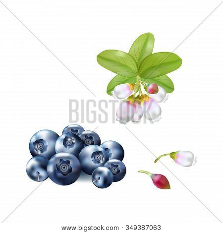 Set Of Realistic Ripe Berryes On A White Background.the Berryes For Advertising, Labels, Organic Agr