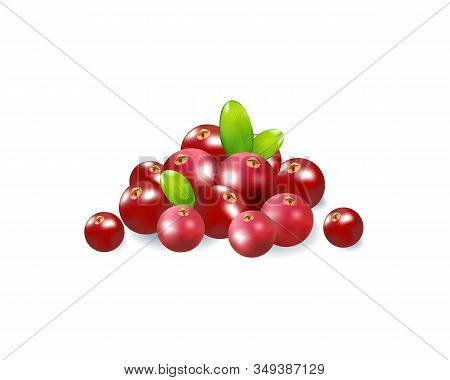 Set Of Realistic Ripe Berryes On A White Background.the Berryes For Advertising, Labels, Organic Agr
