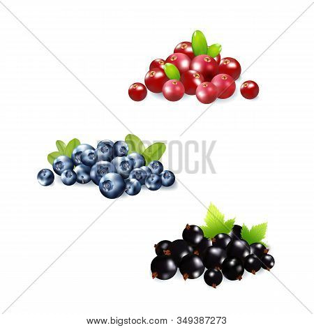 Set Of Realistic Ripe Berryes On A White Background.the Berryes For Advertising, Labels, Organic Agr