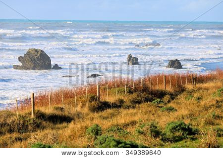 Rustic Wooden Fence Surrounding Grasslands Where Cattle Graze On Ranchland Besides The Pacific Ocean