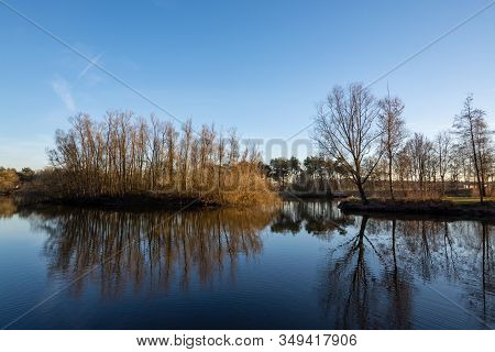 Mirror Forest Lake With Reflection In Winter Sunny Day, Kempen Regio In North Brabant, Netherlands