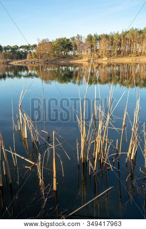 Mirror Forest Lake With Reflection In Winter Sunny Day, Kempen Regio In North Brabant, Netherlands