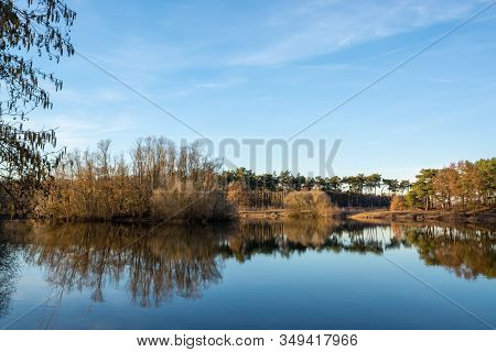 Mirror Forest Lake With Reflection In Winter Sunny Day, Kempen Regio In North Brabant, Netherlands