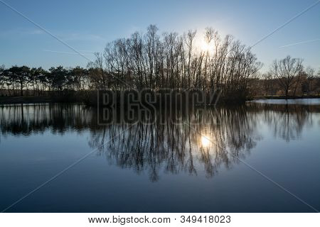 Mirror Forest Lake With Reflection In Winter Sunny Day, De Kempen Regio In North Brabant, Netherland
